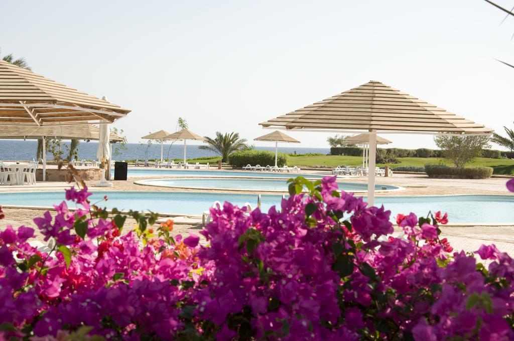 Three Corners Equinox Beach Resort Marsa Alam Extérieur photo